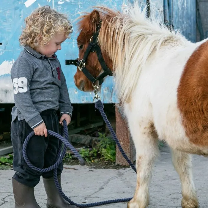 Where Childhood Runs Free: 29 Irish Traveler Kids And Their Animals