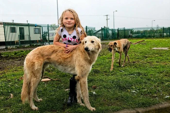 Where Childhood Runs Free: 29 Irish Traveler Kids And Their Animals