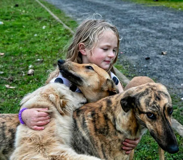 Where Childhood Runs Free: 29 Irish Traveler Kids And Their Animals