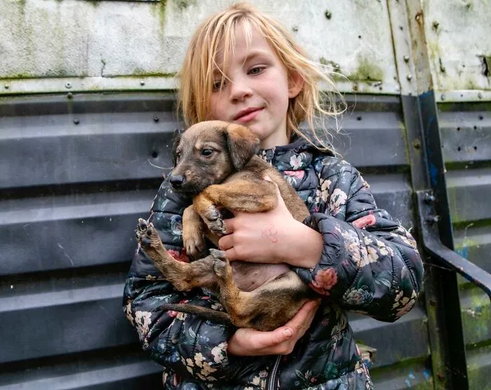 Where Childhood Runs Free: 29 Irish Traveler Kids And Their Animals