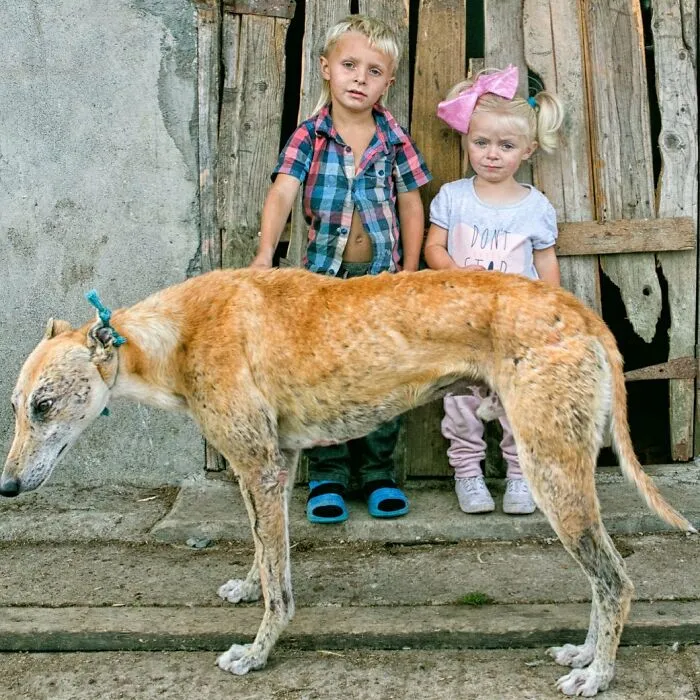 Where Childhood Runs Free: 29 Irish Traveler Kids And Their Animals