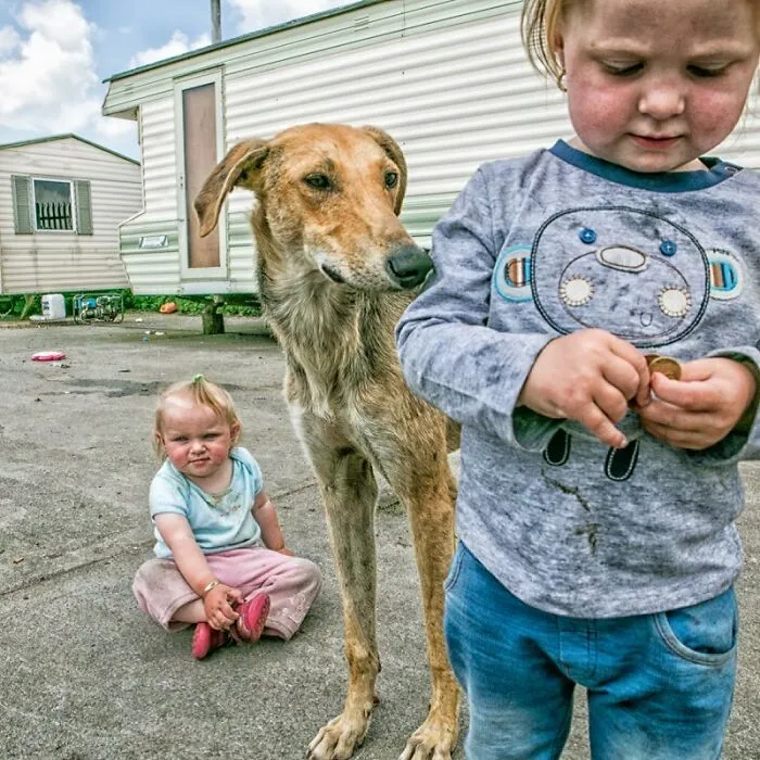 Where Childhood Runs Free: 29 Irish Traveler Kids And Their Animals