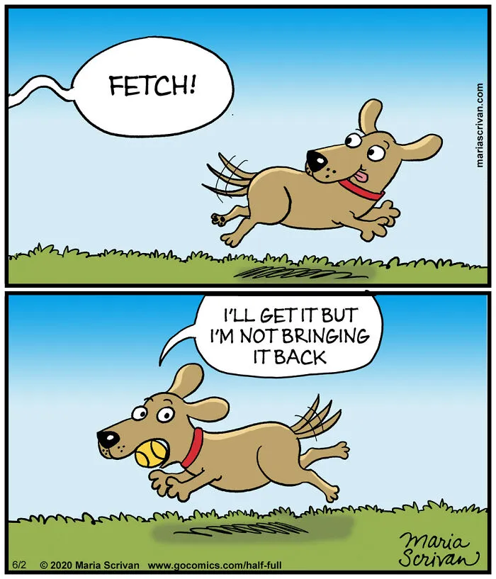 42 Clever And Relatable Comics By Maria Scrivan That Might Just Be About You (New Pics)