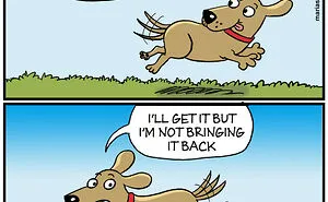 42 Clever And Relatable Comics By Maria Scrivan That Might Just Be About You (New Pics)