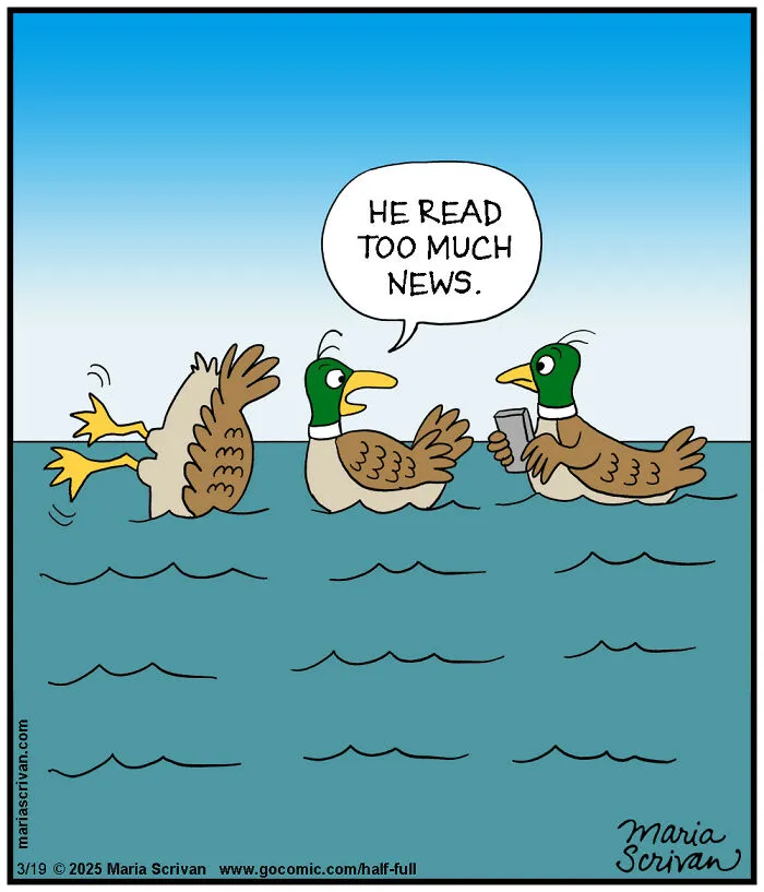 42 Clever And Relatable Comics By Maria Scrivan That Might Just Be About You (New Pics)