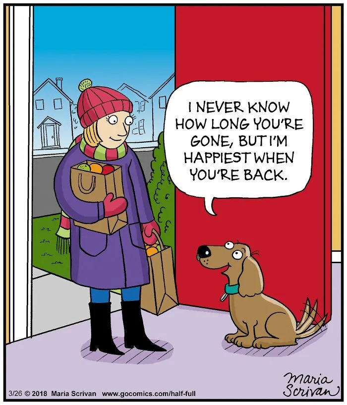 42 Clever And Relatable Comics By Maria Scrivan That Might Just Be About You (New Pics)