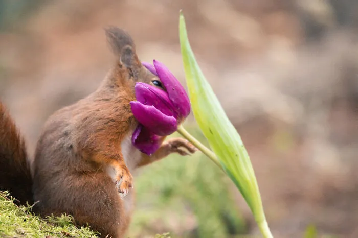 50 Of The Funniest Animal Photos Shared By Our Community