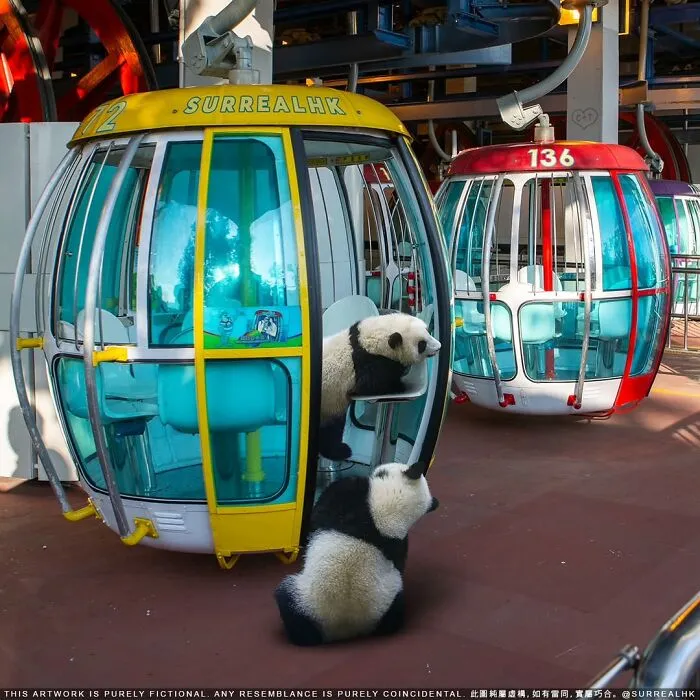 23 Surreal Panda Pics That Turn Everyday Hong Kong Into A Giant Playground