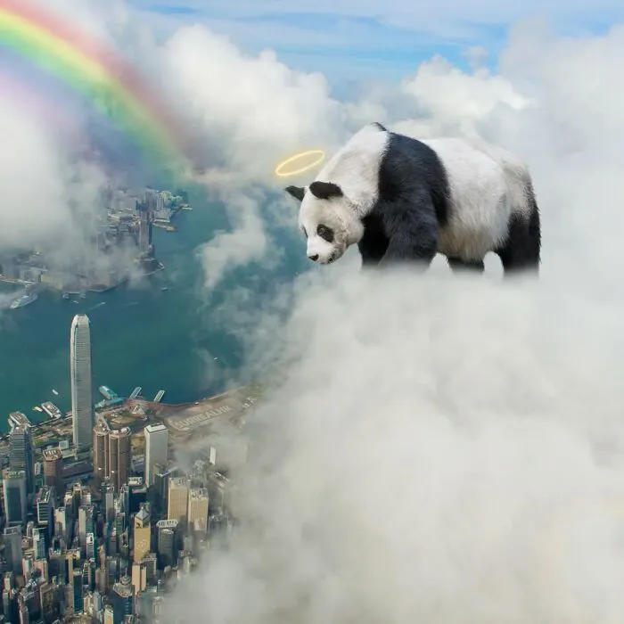 Warning: This Artist Is Releasing Pandas All Over Hong Kong — And We’re Totally Here For It! (23 Pics)