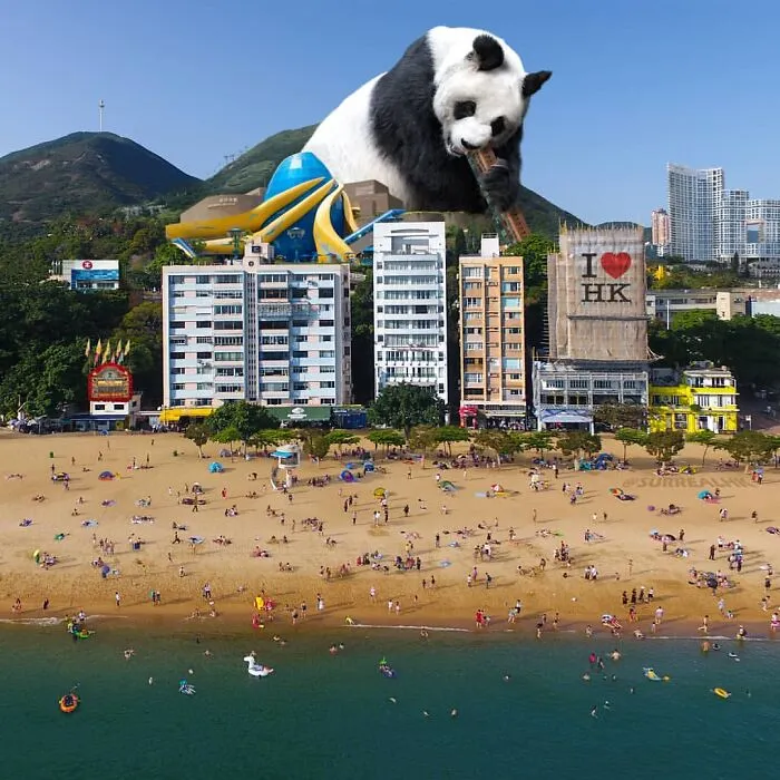 23 Surreal Panda Pics That Turn Everyday Hong Kong Into A Giant Playground