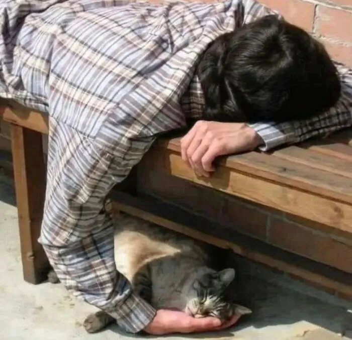 30 Unexpected Animal Moments Caught On Camera In The Streets, As Shared On This Instagram Page