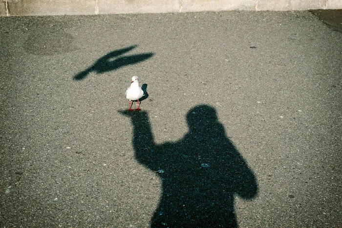 40 New Photos That Show What Daily Life In Japan Looks Like By Photographer Shin Noguchi
