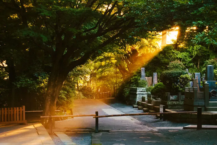 40 New Photos That Show What Daily Life In Japan Looks Like By Photographer Shin Noguchi