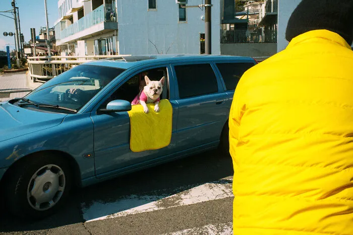 40 New Photos That Show What Daily Life In Japan Looks Like By Photographer Shin Noguchi