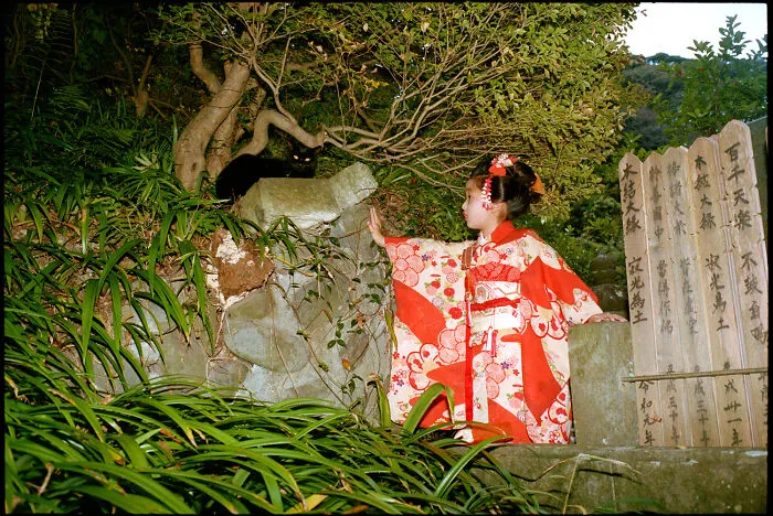 40 New Photos That Show What Daily Life In Japan Looks Like By Photographer Shin Noguchi