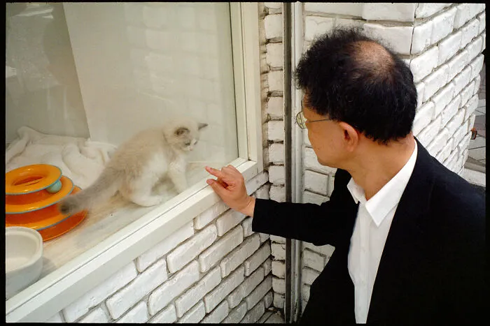 40 New Photos That Show What Daily Life In Japan Looks Like By Photographer Shin Noguchi