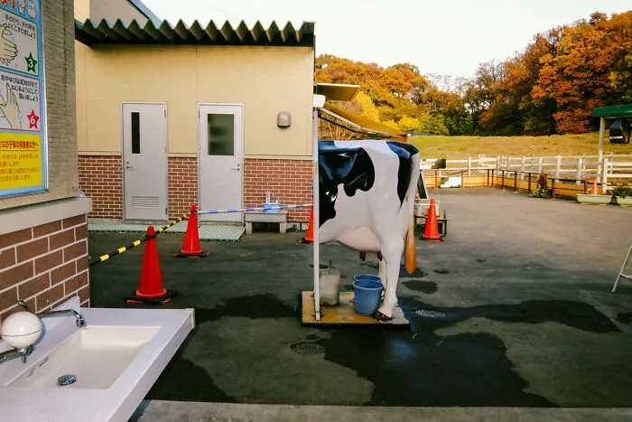 40 New Photos That Show What Daily Life In Japan Looks Like By Photographer Shin Noguchi