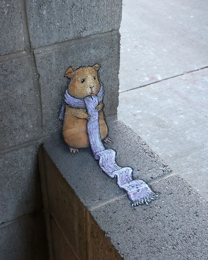 "Today Is The First Optimistic Day Of Geraldine's Scarf-Sharing Program"
