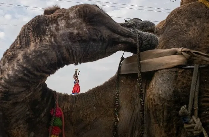 Photographer Spends 27 Years Documenting The Streets of India, And Here Are 100 Of His Best Shots