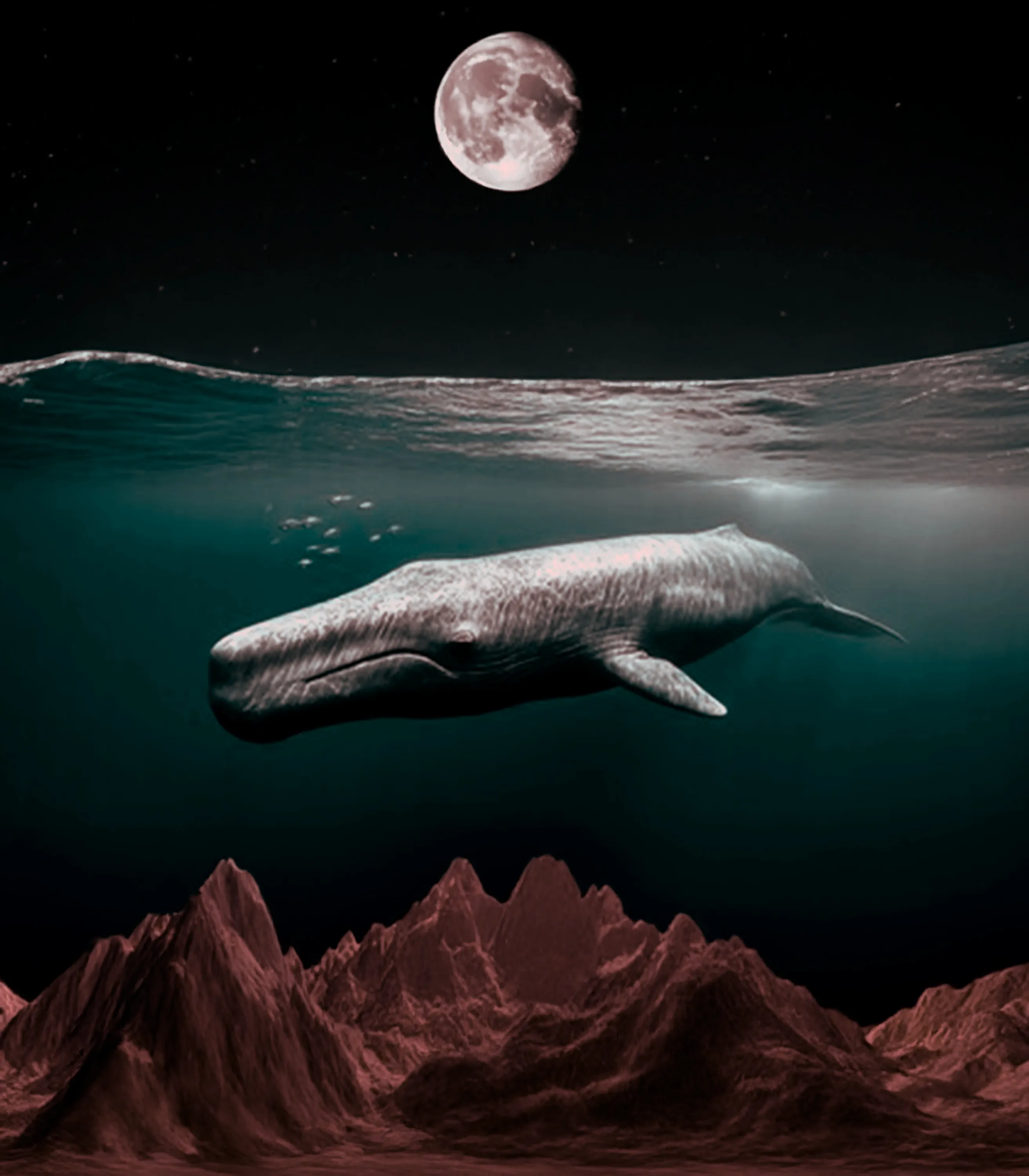 The Whale In The Dark