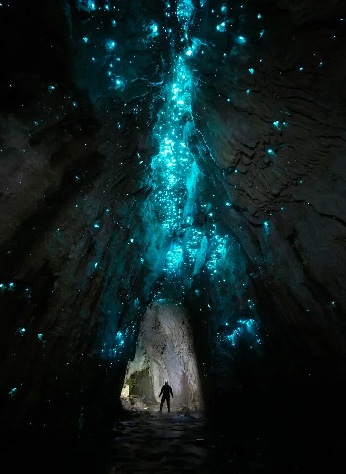 Nature Category | Gold: "Earth’s Galaxy" By Navaneeth Unnikrishnan