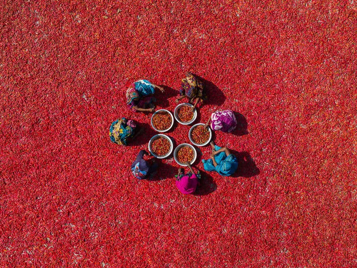 People Category | Gold: "Chile Pepper Workers" By Serkan Dogus