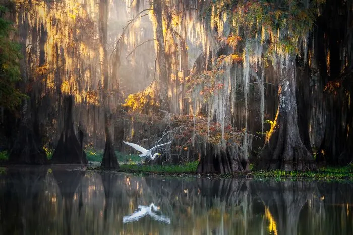Landscapes Category | Bronze; Nature Category | Silver: "A Place Called Home" By Fenqiang Liu