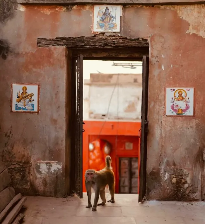 This Instagram Page  Shows The Beauty Of Asia, And Here Are The Best 30 Photos