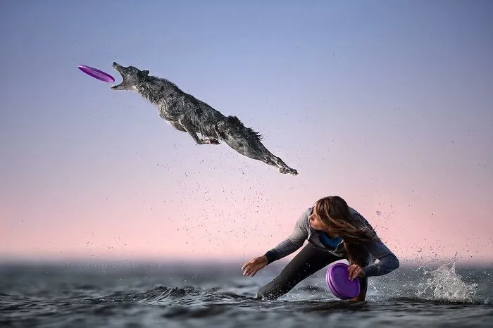 50 Dogs Captured In Peak Motion By Claudio Piccoli
