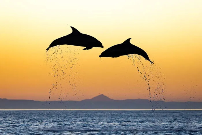 Honorable Mention: "Sunset Ascent" By Mike Rigney, USA