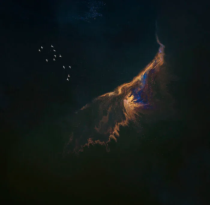 Xiaohui Li, China, Flamingos By The Lake