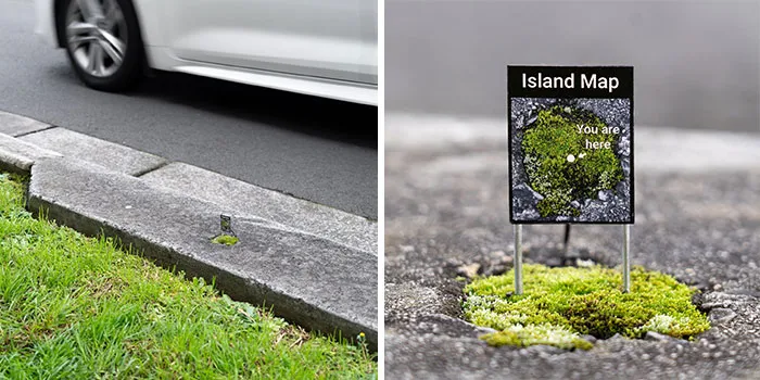 "Island"