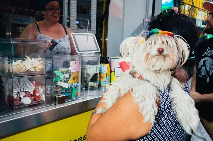 50 Striking Street Photos That Prove NYC Is A City Of Endless Stories Captured By Mathias Wasik