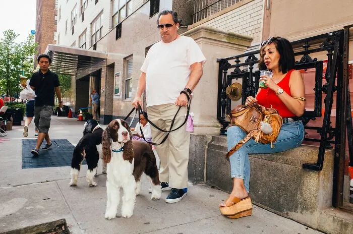 Man walking dogs past woman seated on NYC street bench, capturing powerful street moments in vibrant urban setting.