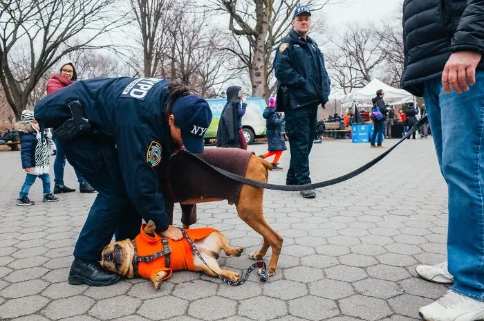 NYPD officers interacting with dogs in a public park, capturing authentic street moments in NYC urban life.