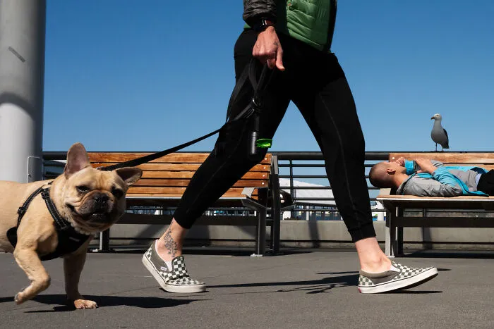 Photographer Snaps Coincidental Moments In Public And Here Are His 27 Best Shots