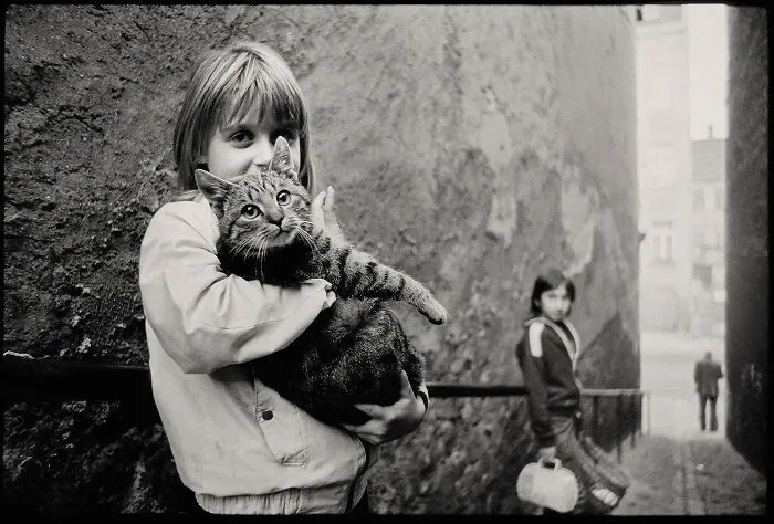 Walking The Cat, May 1988
