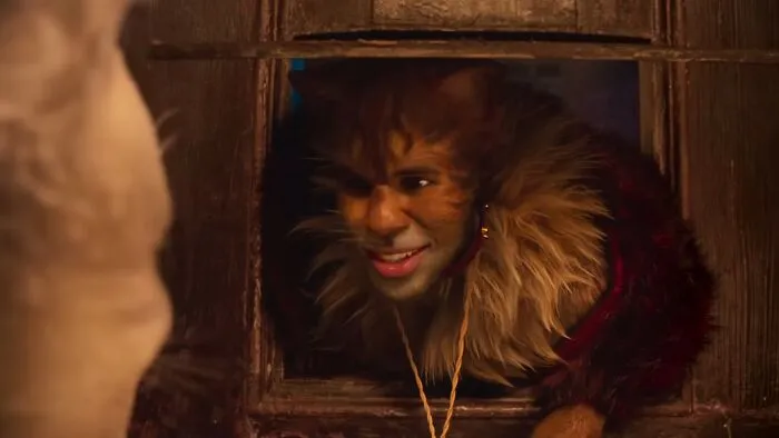 Cats, 2019