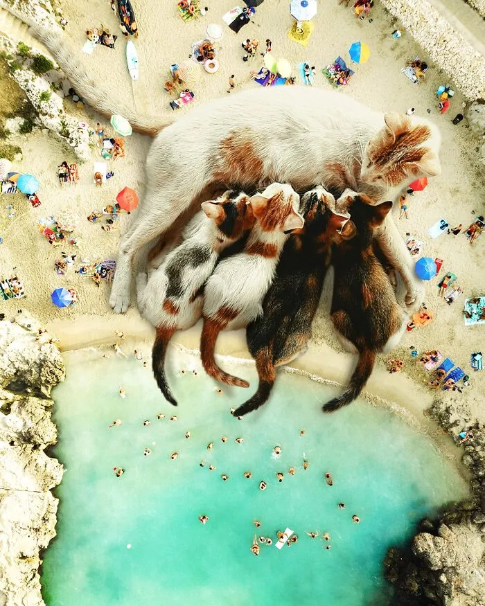Artist Imagines Surreal Parallel Universe Where Giant Cats Reign, And Here Are 55 New Pieces