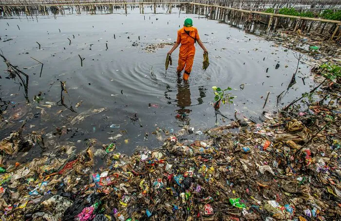 Conservation And Restoration, Highly Commended: Cleaning Up The Coast By Gerdie Hutomo