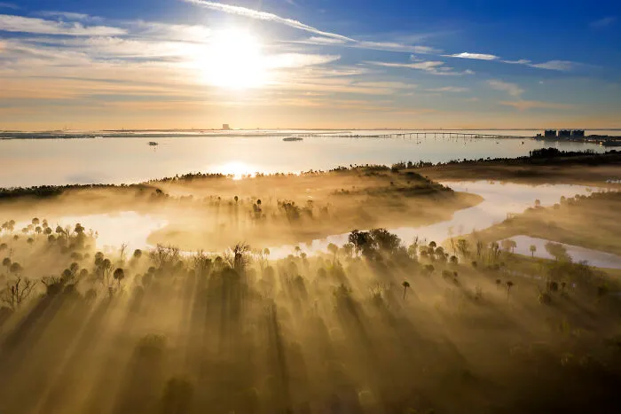 From The Air, Highly Commended: Guardians Of The Shoreline By Jeff Thamert