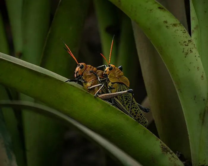 "We Are In A Mass Extinction Event": These 46 Things Have People Concerned About The Future