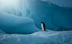 I Traveled To Antarctica And Took These 10 Shots To Show Its Surreal Beauty (10 Pics)