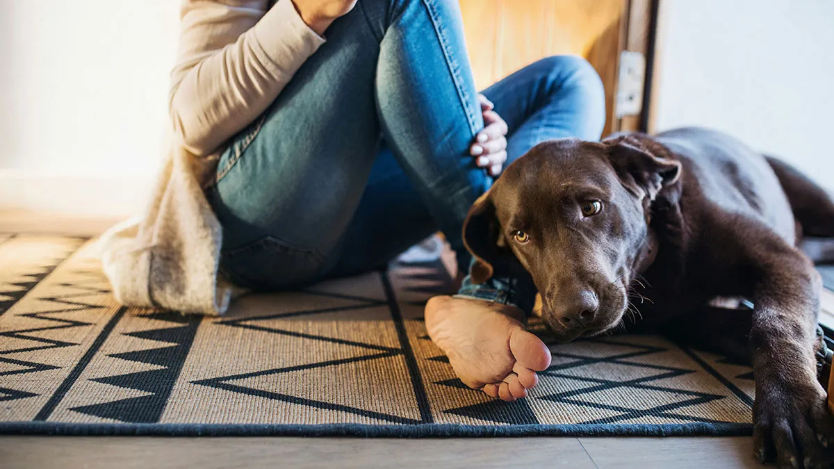 “AITA For Not Replacing My Nephew’s Leather Jacket After My Dog Had An Accident On It?”