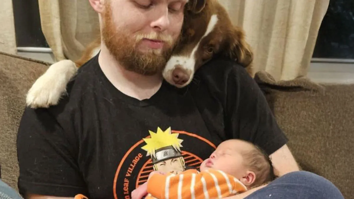 50 Uplifting And Wholesome Posts To Remind You That There Is Still Good In The World