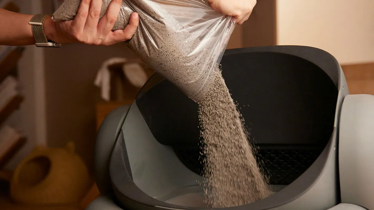 “Just Gross To Me”: 50 People Share Red Flags That They Always Look Out For In People's Homes