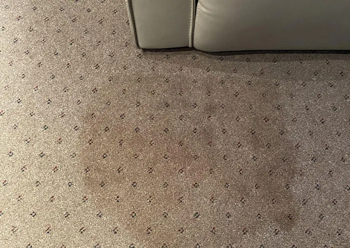 “Just Gross To Me”: 50 People Share Red Flags That They Always Look Out For In People's Homes