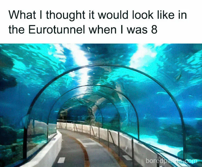 50 Funny Memes And Posts About The Brits That Show What A Unique Nation They Are