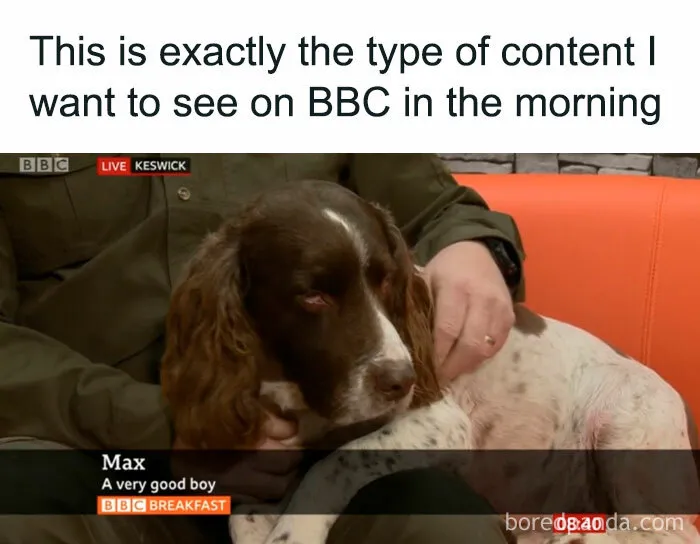 50 Funny Memes And Posts About The Brits That Show What A Unique Nation They Are