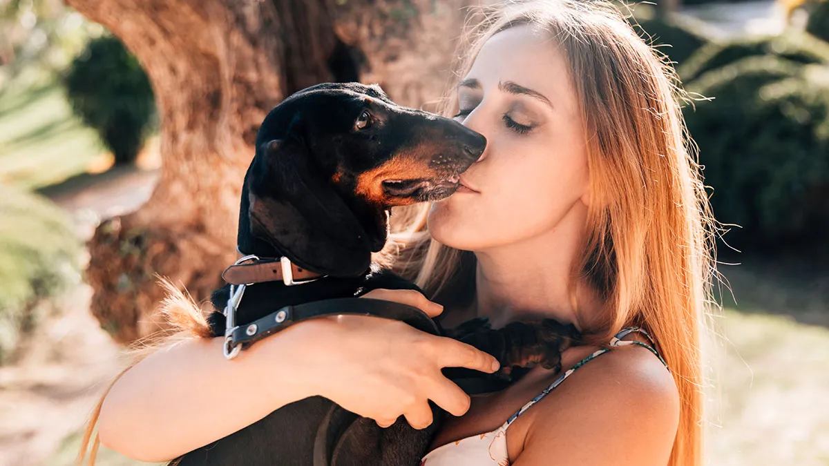 Bridesmaid Expected To Shave Her Dog For Bestie's Wedding, Chooses To Be A No-Show Instead